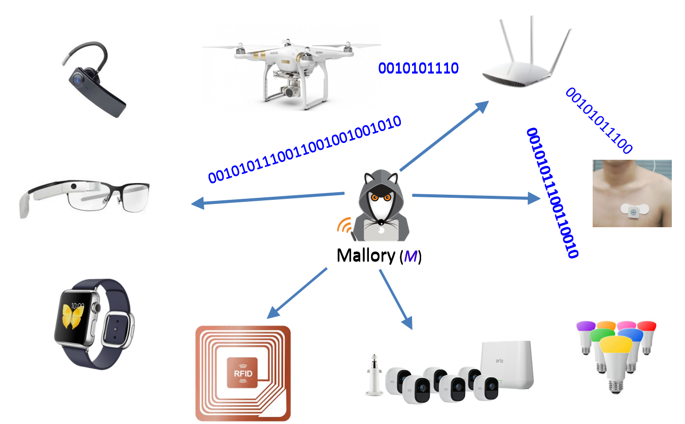 Wireless Security: Automatic Trust Establishment for IoT